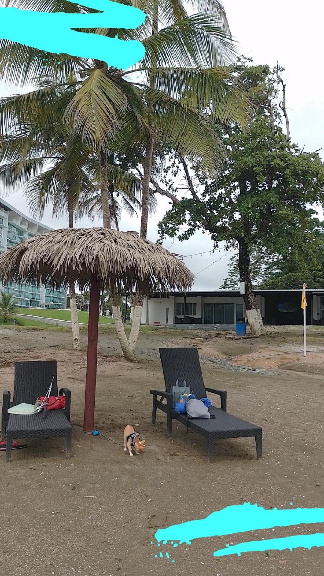 Apartamento En Balabeach Maria Chiquita In Front Of The Beach 2Hab Colon Camera foto