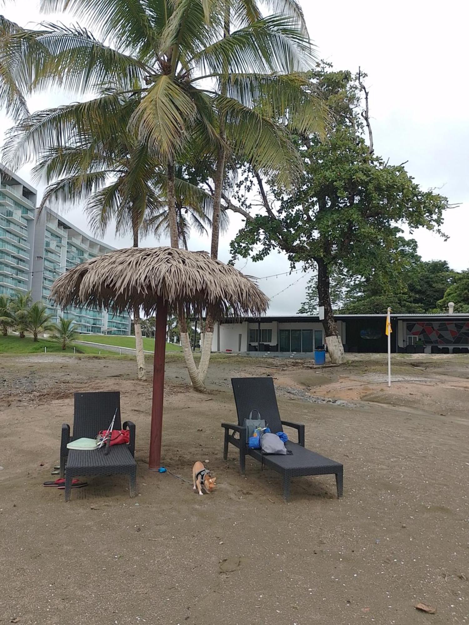 Apartamento En Balabeach Maria Chiquita In Front Of The Beach 2Hab Colon Camera foto