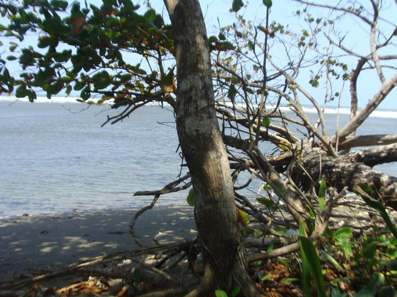 Apartamento En Balabeach Maria Chiquita In Front Of The Beach 2Hab Colon Esterno foto