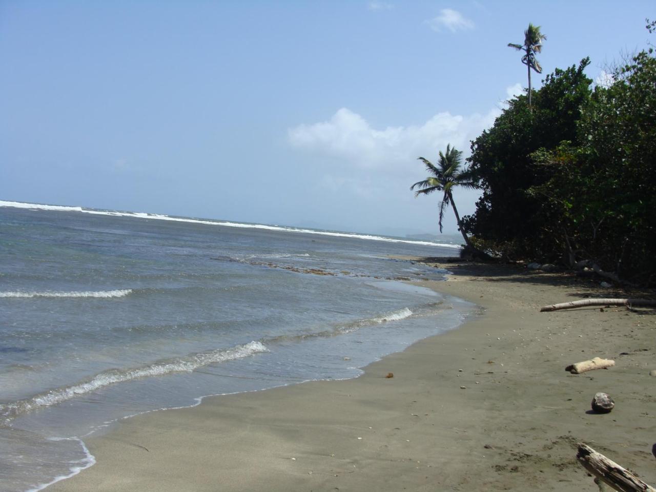 Apartamento En Balabeach Maria Chiquita In Front Of The Beach 2Hab Colon Esterno foto