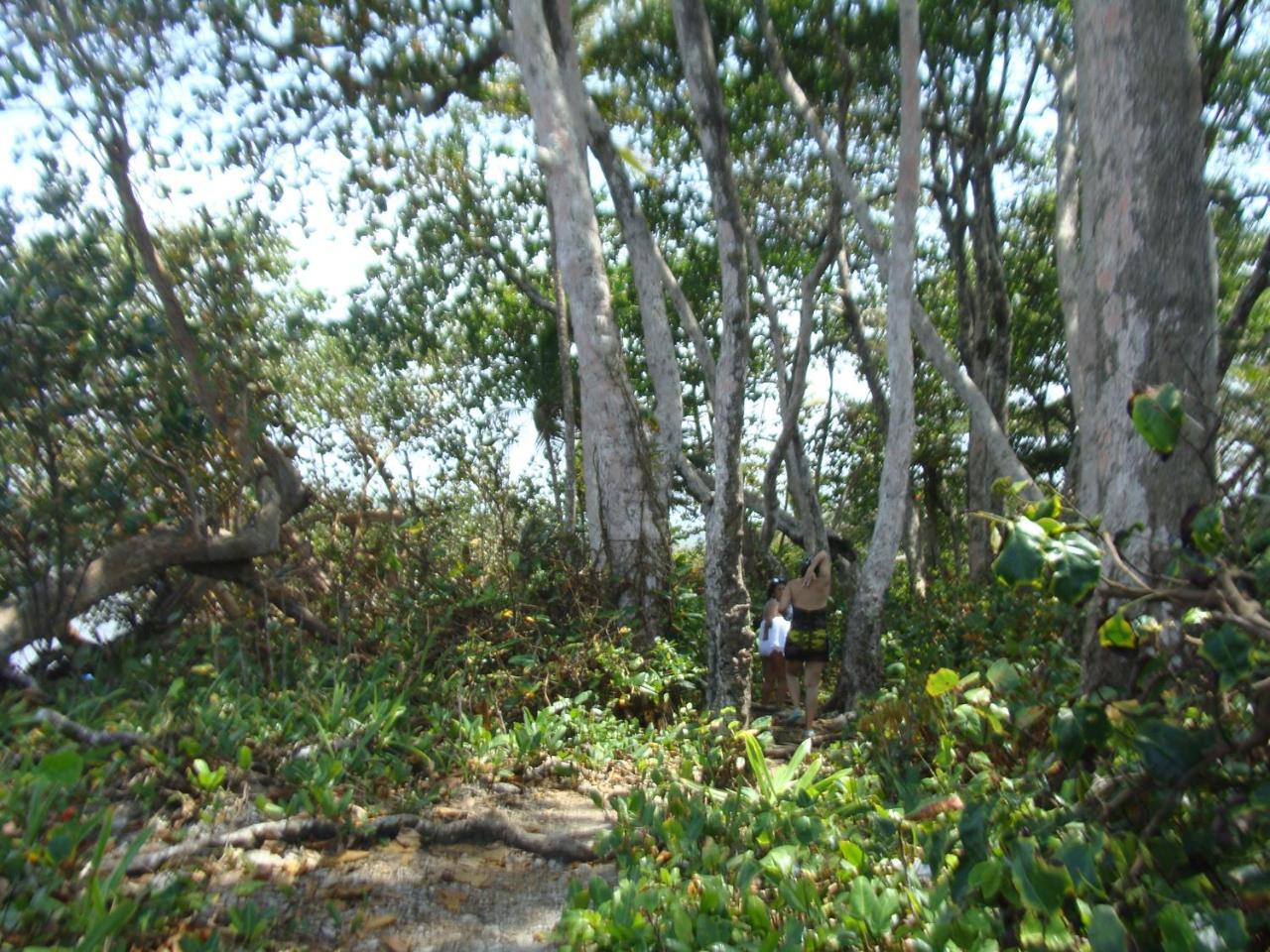 Apartamento En Balabeach Maria Chiquita In Front Of The Beach 2Hab Colon Esterno foto